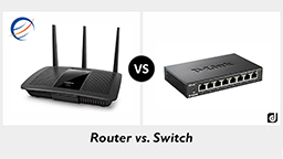 routers difference cisco switches routers